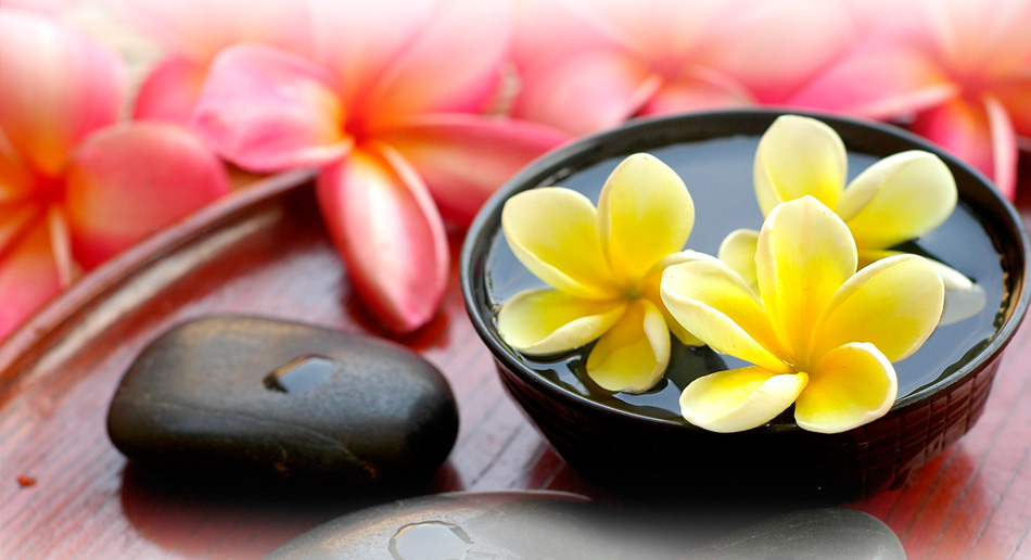 网站攻击软件工具